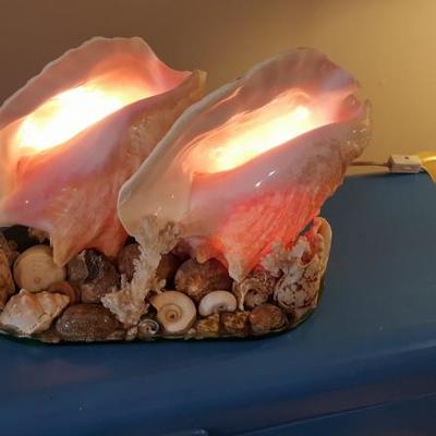 Vintage Double Conch Shell 