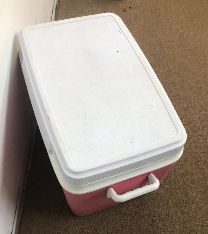 Vintage Rubbermaid Ice Cooler. 