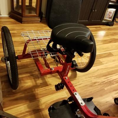 Rockn roll trike for special needs
