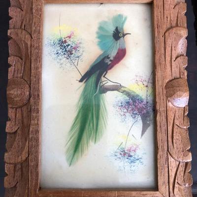 Lot of 8 Feather Made Bird Framed (Item 2016)