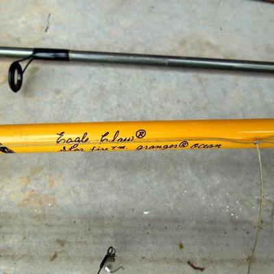 Lot 183: Group of 5 Fishing Poles, Graphite Reels and Tackle
