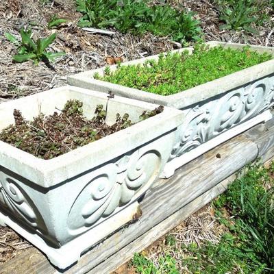 Lot 126: Pair of Concrete Decorative Planters Succulent Plants