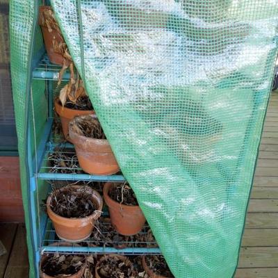 Lot 56: Covered Garden Greenhouse Planting Cart with Clay Pots