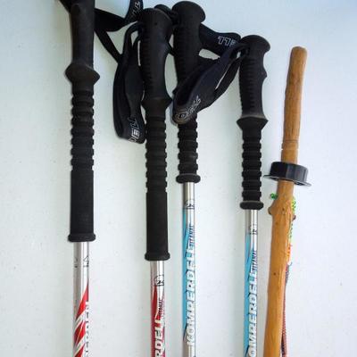 Lot 236: Walking Hiking Poles and Stick