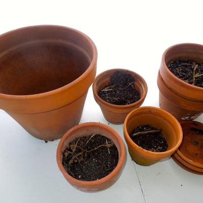 Lot 244: Three Milk Boxes of Terra Cotta Planters and Saucers