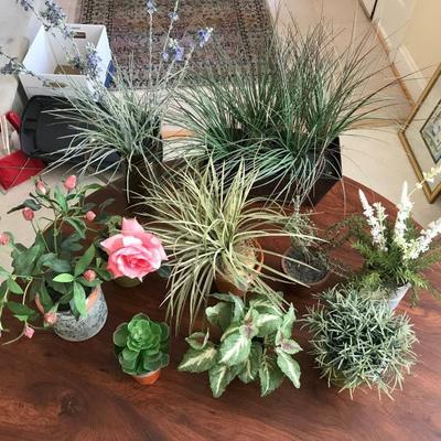 Lot 269-Lot of Miscellaneous Potted Silk Flowers and Plants