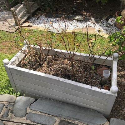 Lot 498-Plastic Planter with Rose Bushes