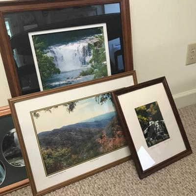 Lot 50 - Framed Waterfall and Nature Prints