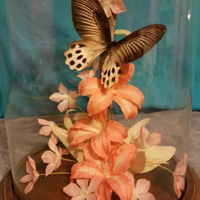 Butterfly Cloche Still Life Shelf Art Lot #13-039