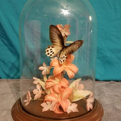 Butterfly Cloche Still Life Shelf Art Lot #13-039