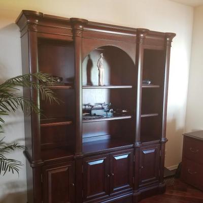 Massive Executive Library 
