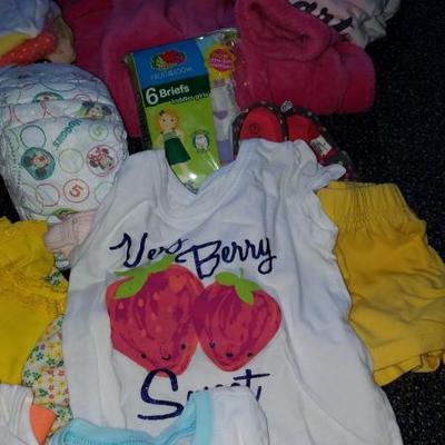 HUGE New and Like New Girls Clothes Group 2 2T - 5T