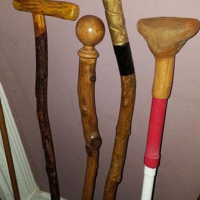 Cane Collection antique