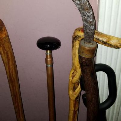 Cane Collection antique