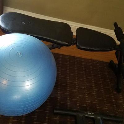 Exercise Group 1 - Weight Bench