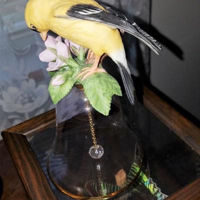 Butterflies and Birds Collectibles See all photos 