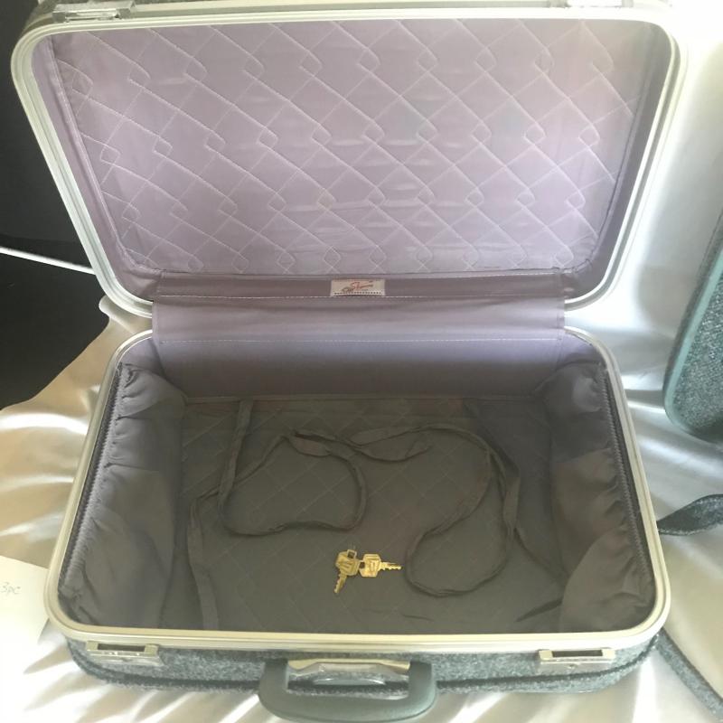skyway suitcase vintage