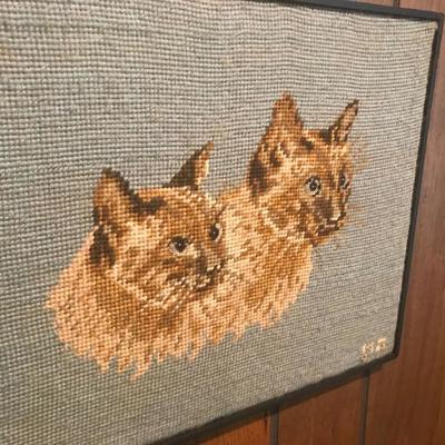 Cat Pictures