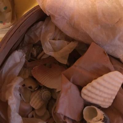 Sea Shells and Picnic Basket