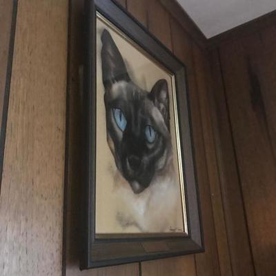 Cat Pictures