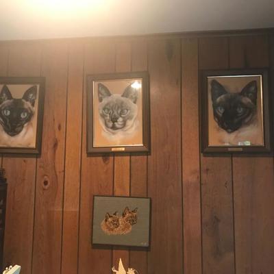 Cat Pictures