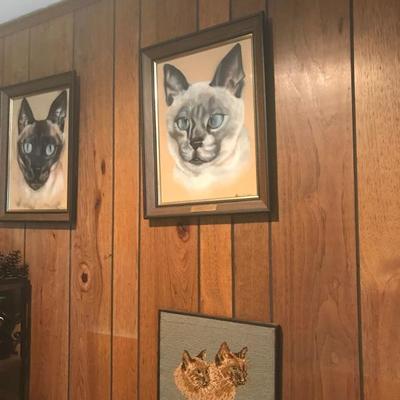 Cat Pictures
