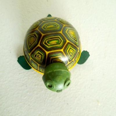 Lot 147: Vintage Turtle Collection Teaching Resource