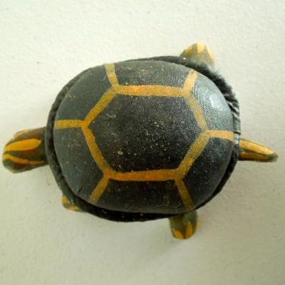 Lot 147: Vintage Turtle Collection Teaching Resource
