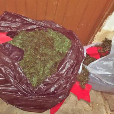 Christmas Wreath and More #337