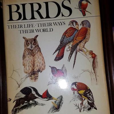 Frames, Prints, Birds And Mysteries Books #106 