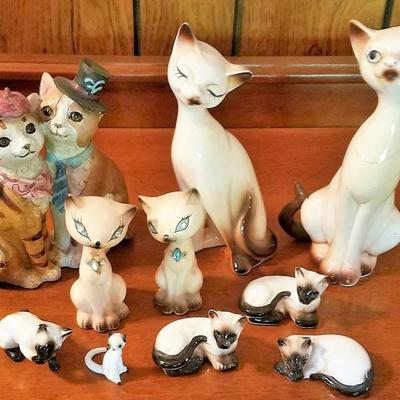 Cats On The Shelf #1