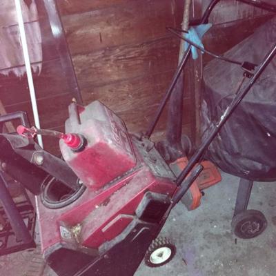 Snow Thrower #351