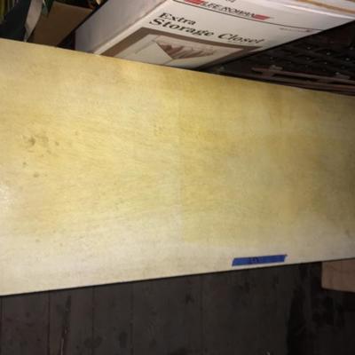 Lane Trunk #298 
