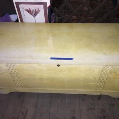 Lane Trunk #298 