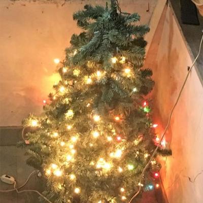 Xmas Tree #250 