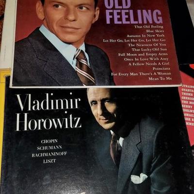 Vintage Record Albums 2nd Set Lot #121 