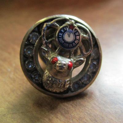 Misc Pins and Jewelry #311