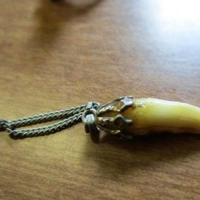 Rings and Tooth Necklace #315