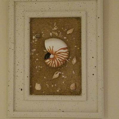 Framed Seashell Decorum