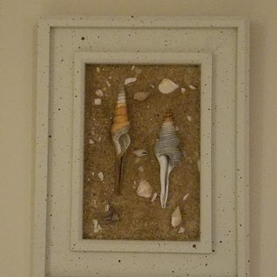 Framed Seashell Decorum