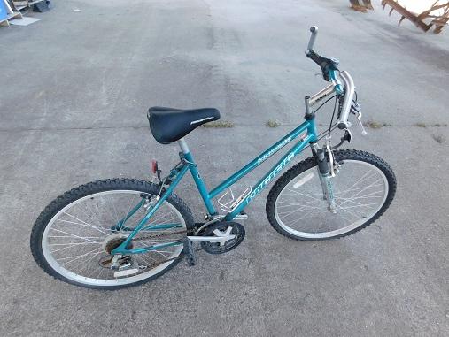 pacific women's mountain bike