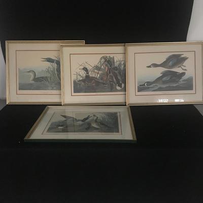 Lot 8 - Four Framed Audubon Prints 