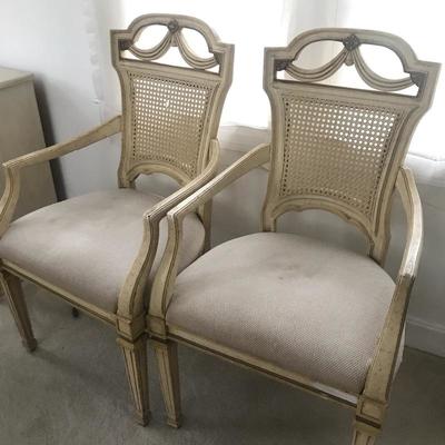 Lot 24 - Nine Cane Back Dining Chairs