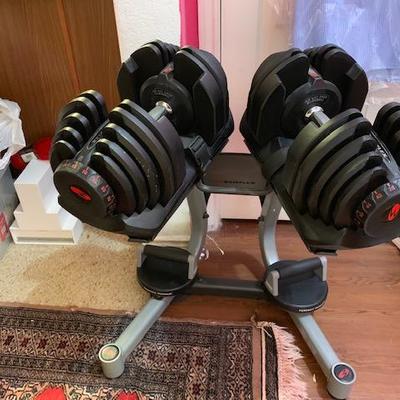 BOWFLEX  1090  WEIGHTS WITH STAND