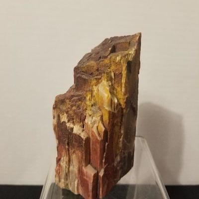 Awesome Piece Of Petrified Wood 4.5