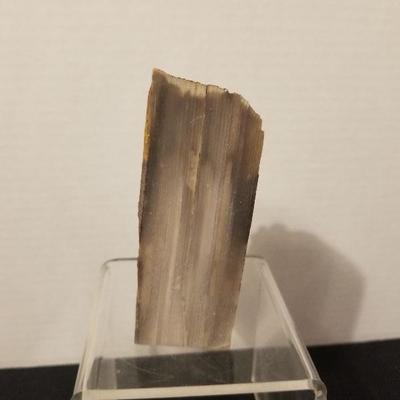 Awesome Piece Of Petrified Wood 4.5" Tall  - #7-A