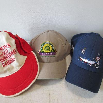 Variety of Baseball Caps Hats