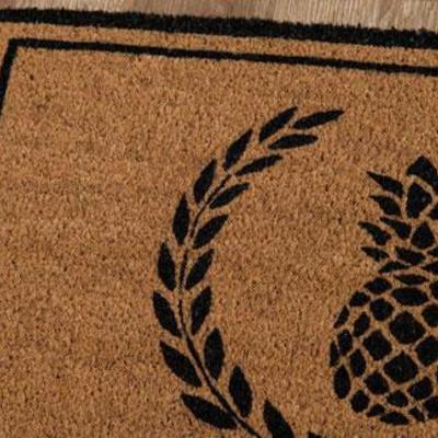 Navy Pineapple Floor Mats