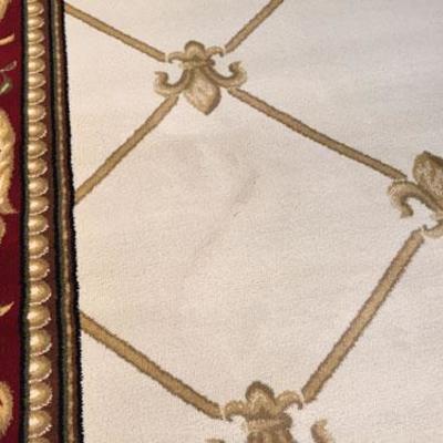 Stunning savanarrie Design Rug 8X11