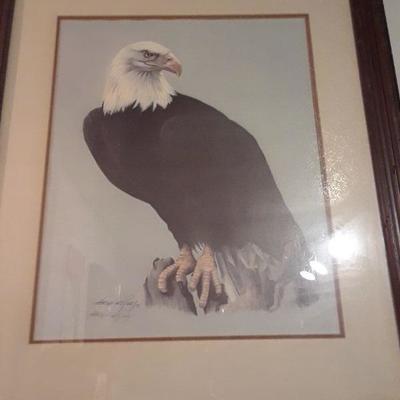 BALD EAGLE PRINT BY HAROLD RIGSBY